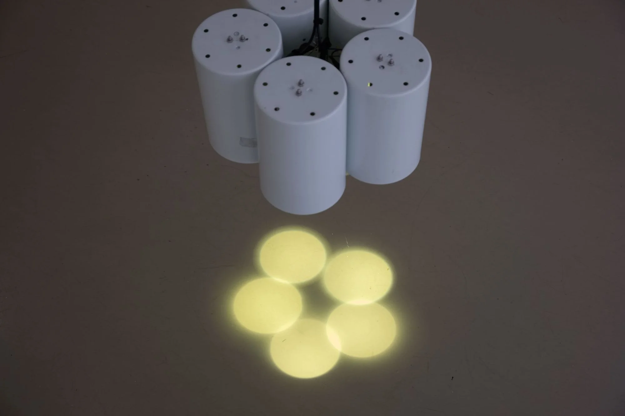 〈flower〉（圖片來源：藝術家提供）